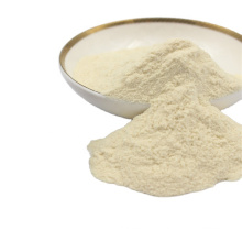 Freeze-dried High Stability Probiotic OEM manufacturer Bulk Probiotic Lactobacillus casei  lactic acid bacteria powder
